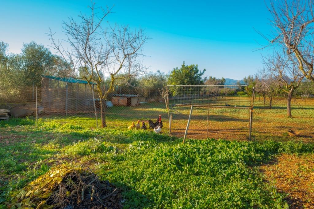 Ca'n Canastro Villa