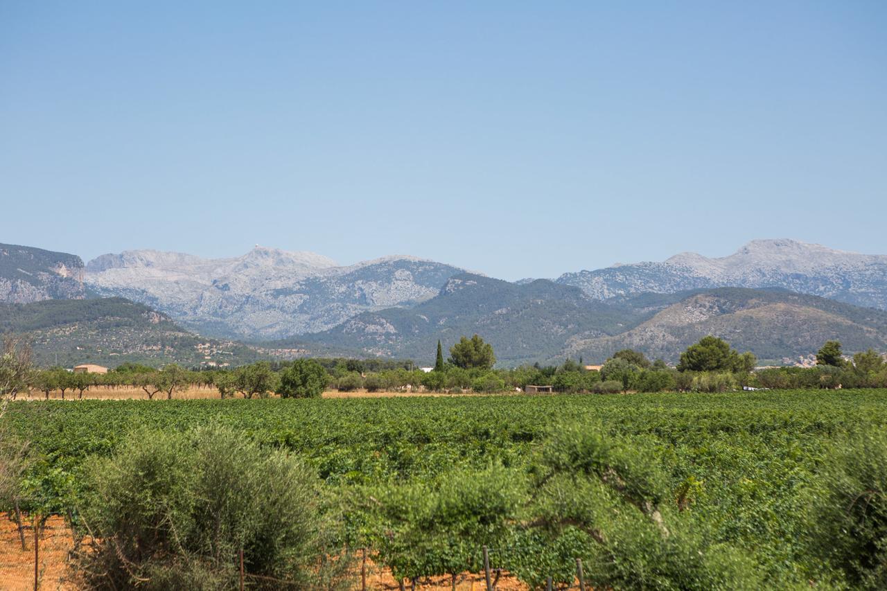 Ca'n Canastro Villa